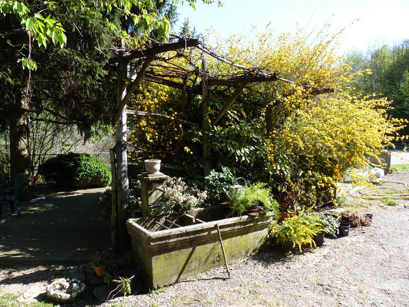 Saint-Léger Domaine De La Safraniere - Chambre D'Hote מראה חיצוני תמונה