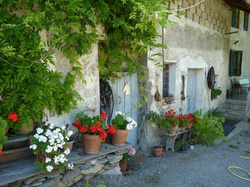 Saint-Léger Domaine De La Safraniere - Chambre D'Hote מראה חיצוני תמונה