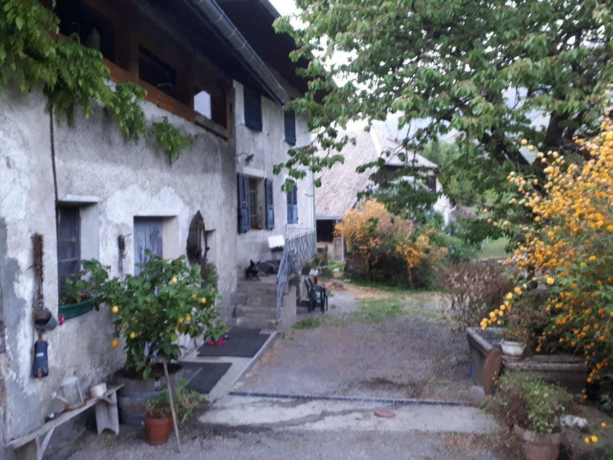 Saint-Léger Domaine De La Safraniere - Chambre D'Hote מראה חיצוני תמונה